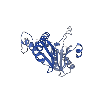 20877_6utf_T_v1-2
Allosteric coupling between alpha-rings of the 20S proteasome, archaea 20S proteasome singly capped with a PAN complex