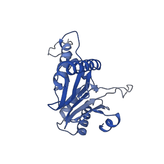 20877_6utf_U_v1-2
Allosteric coupling between alpha-rings of the 20S proteasome, archaea 20S proteasome singly capped with a PAN complex