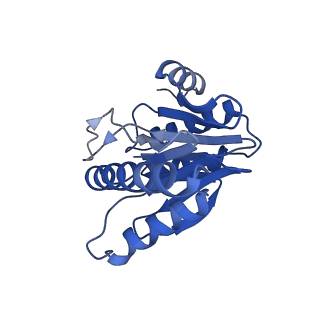 20877_6utf_V_v1-2
Allosteric coupling between alpha-rings of the 20S proteasome, archaea 20S proteasome singly capped with a PAN complex