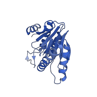 20877_6utf_W_v1-1
Allosteric coupling between alpha-rings of the 20S proteasome, archaea 20S proteasome singly capped with a PAN complex