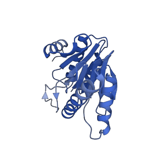 20877_6utf_W_v1-2
Allosteric coupling between alpha-rings of the 20S proteasome, archaea 20S proteasome singly capped with a PAN complex