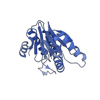 20877_6utf_X_v1-1
Allosteric coupling between alpha-rings of the 20S proteasome, archaea 20S proteasome singly capped with a PAN complex