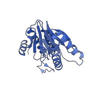 20877_6utf_X_v1-2
Allosteric coupling between alpha-rings of the 20S proteasome, archaea 20S proteasome singly capped with a PAN complex