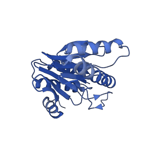 20877_6utf_Y_v1-1
Allosteric coupling between alpha-rings of the 20S proteasome, archaea 20S proteasome singly capped with a PAN complex