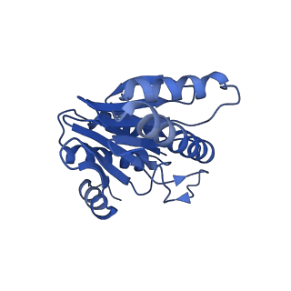 20877_6utf_Y_v1-2
Allosteric coupling between alpha-rings of the 20S proteasome, archaea 20S proteasome singly capped with a PAN complex