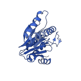 20877_6utf_Z_v1-1
Allosteric coupling between alpha-rings of the 20S proteasome, archaea 20S proteasome singly capped with a PAN complex