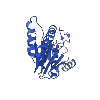 20878_6utg_1_v1-1
Allosteric coupling between alpha-rings of the 20S proteasome, 20S singly capped with a PA26/V230F