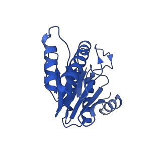 20878_6utg_1_v1-2
Allosteric coupling between alpha-rings of the 20S proteasome, 20S singly capped with a PA26/V230F