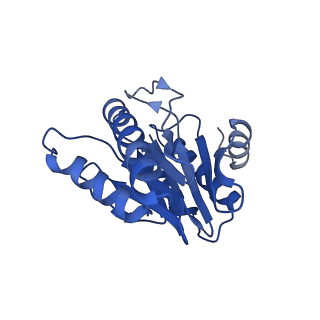 20878_6utg_2_v1-1
Allosteric coupling between alpha-rings of the 20S proteasome, 20S singly capped with a PA26/V230F