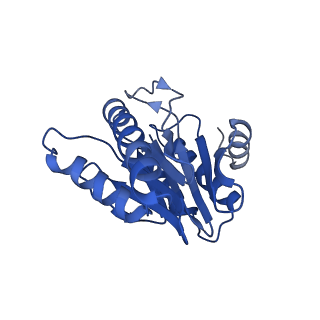 20878_6utg_2_v1-2
Allosteric coupling between alpha-rings of the 20S proteasome, 20S singly capped with a PA26/V230F