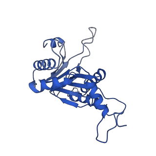 20878_6utg_A_v1-1
Allosteric coupling between alpha-rings of the 20S proteasome, 20S singly capped with a PA26/V230F
