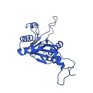 20878_6utg_A_v1-2
Allosteric coupling between alpha-rings of the 20S proteasome, 20S singly capped with a PA26/V230F