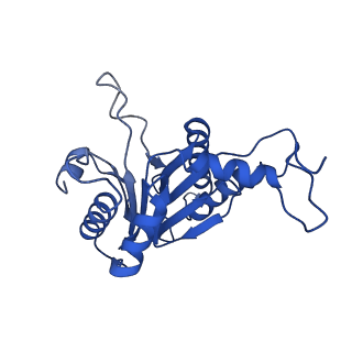 20878_6utg_B_v1-1
Allosteric coupling between alpha-rings of the 20S proteasome, 20S singly capped with a PA26/V230F
