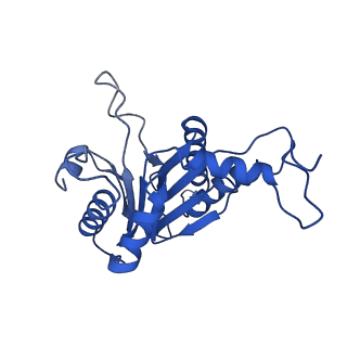 20878_6utg_B_v1-2
Allosteric coupling between alpha-rings of the 20S proteasome, 20S singly capped with a PA26/V230F