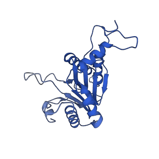 20878_6utg_C_v1-1
Allosteric coupling between alpha-rings of the 20S proteasome, 20S singly capped with a PA26/V230F