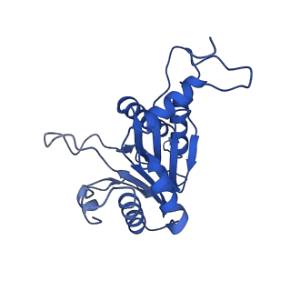 20878_6utg_C_v1-2
Allosteric coupling between alpha-rings of the 20S proteasome, 20S singly capped with a PA26/V230F