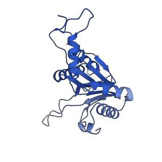 20878_6utg_D_v1-1
Allosteric coupling between alpha-rings of the 20S proteasome, 20S singly capped with a PA26/V230F