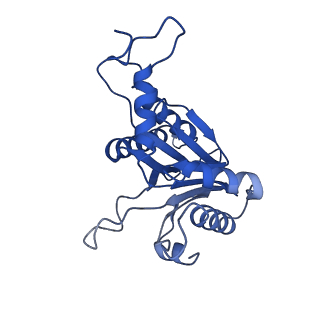 20878_6utg_D_v1-2
Allosteric coupling between alpha-rings of the 20S proteasome, 20S singly capped with a PA26/V230F