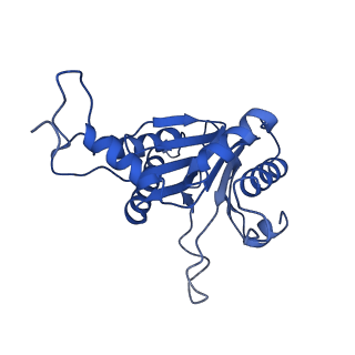 20878_6utg_E_v1-1
Allosteric coupling between alpha-rings of the 20S proteasome, 20S singly capped with a PA26/V230F