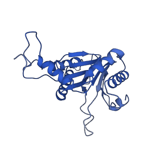 20878_6utg_E_v1-2
Allosteric coupling between alpha-rings of the 20S proteasome, 20S singly capped with a PA26/V230F