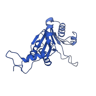 20878_6utg_F_v1-1
Allosteric coupling between alpha-rings of the 20S proteasome, 20S singly capped with a PA26/V230F