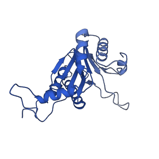 20878_6utg_F_v1-2
Allosteric coupling between alpha-rings of the 20S proteasome, 20S singly capped with a PA26/V230F