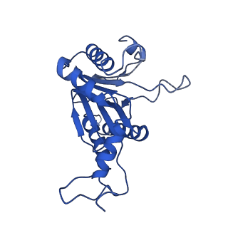 20878_6utg_G_v1-2
Allosteric coupling between alpha-rings of the 20S proteasome, 20S singly capped with a PA26/V230F