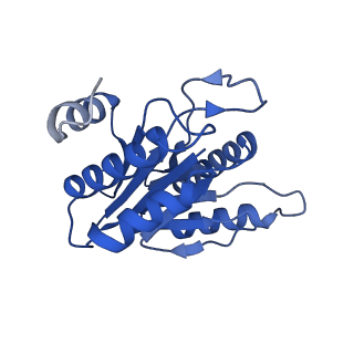 20878_6utg_H_v1-1
Allosteric coupling between alpha-rings of the 20S proteasome, 20S singly capped with a PA26/V230F
