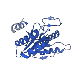 20878_6utg_H_v1-2
Allosteric coupling between alpha-rings of the 20S proteasome, 20S singly capped with a PA26/V230F