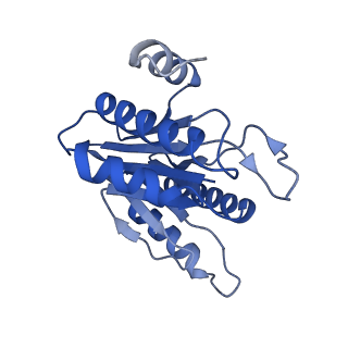 20878_6utg_I_v1-1
Allosteric coupling between alpha-rings of the 20S proteasome, 20S singly capped with a PA26/V230F