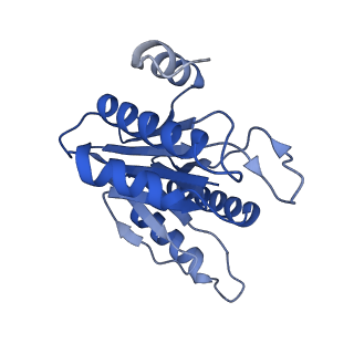 20878_6utg_I_v1-2
Allosteric coupling between alpha-rings of the 20S proteasome, 20S singly capped with a PA26/V230F