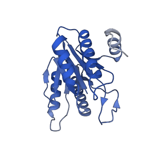 20878_6utg_J_v1-1
Allosteric coupling between alpha-rings of the 20S proteasome, 20S singly capped with a PA26/V230F