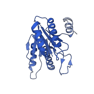 20878_6utg_J_v1-2
Allosteric coupling between alpha-rings of the 20S proteasome, 20S singly capped with a PA26/V230F