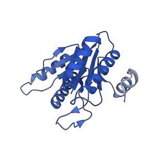 20878_6utg_K_v1-1
Allosteric coupling between alpha-rings of the 20S proteasome, 20S singly capped with a PA26/V230F