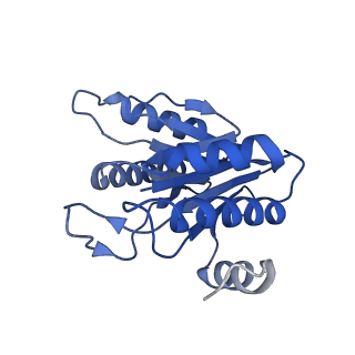 20878_6utg_L_v1-1
Allosteric coupling between alpha-rings of the 20S proteasome, 20S singly capped with a PA26/V230F