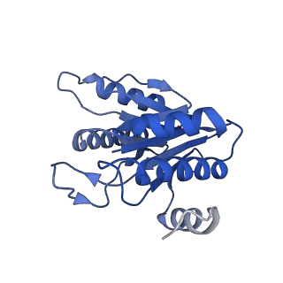 20878_6utg_L_v1-2
Allosteric coupling between alpha-rings of the 20S proteasome, 20S singly capped with a PA26/V230F