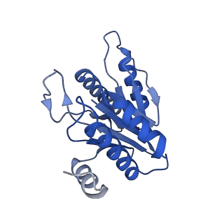 20878_6utg_M_v1-1
Allosteric coupling between alpha-rings of the 20S proteasome, 20S singly capped with a PA26/V230F