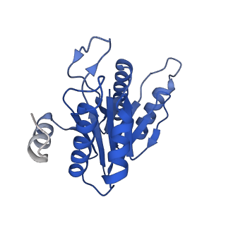 20878_6utg_N_v1-1
Allosteric coupling between alpha-rings of the 20S proteasome, 20S singly capped with a PA26/V230F