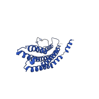 20878_6utg_O_v1-2
Allosteric coupling between alpha-rings of the 20S proteasome, 20S singly capped with a PA26/V230F