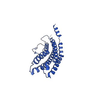 20878_6utg_P_v1-1
Allosteric coupling between alpha-rings of the 20S proteasome, 20S singly capped with a PA26/V230F