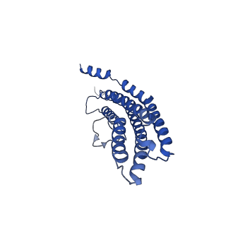 20878_6utg_Q_v1-2
Allosteric coupling between alpha-rings of the 20S proteasome, 20S singly capped with a PA26/V230F