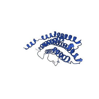 20878_6utg_R_v1-2
Allosteric coupling between alpha-rings of the 20S proteasome, 20S singly capped with a PA26/V230F