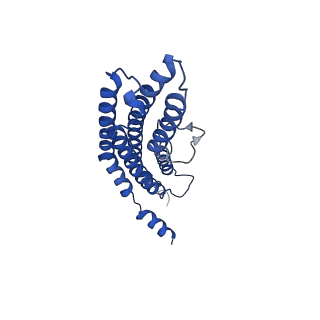 20878_6utg_T_v1-2
Allosteric coupling between alpha-rings of the 20S proteasome, 20S singly capped with a PA26/V230F