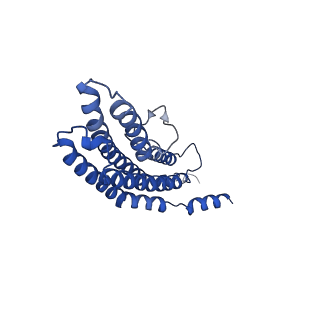 20878_6utg_U_v1-2
Allosteric coupling between alpha-rings of the 20S proteasome, 20S singly capped with a PA26/V230F