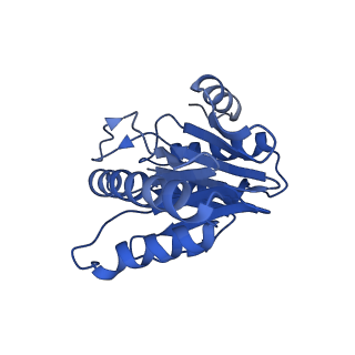 20878_6utg_V_v1-1
Allosteric coupling between alpha-rings of the 20S proteasome, 20S singly capped with a PA26/V230F