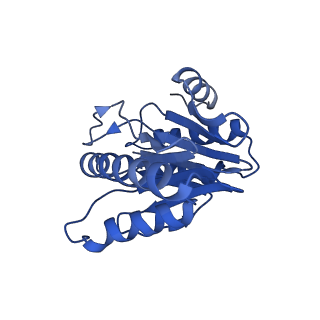 20878_6utg_V_v1-2
Allosteric coupling between alpha-rings of the 20S proteasome, 20S singly capped with a PA26/V230F