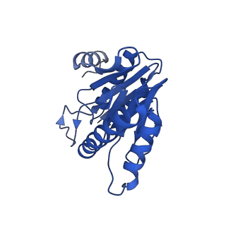 20878_6utg_W_v1-1
Allosteric coupling between alpha-rings of the 20S proteasome, 20S singly capped with a PA26/V230F