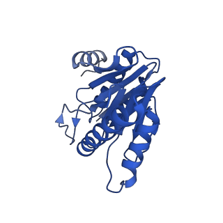 20878_6utg_W_v1-2
Allosteric coupling between alpha-rings of the 20S proteasome, 20S singly capped with a PA26/V230F