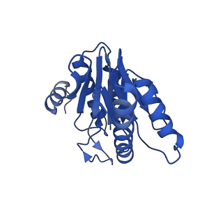 20878_6utg_X_v1-1
Allosteric coupling between alpha-rings of the 20S proteasome, 20S singly capped with a PA26/V230F