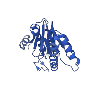 20878_6utg_X_v1-2
Allosteric coupling between alpha-rings of the 20S proteasome, 20S singly capped with a PA26/V230F